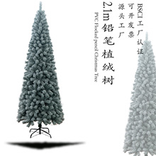 2.1��Ǧ��ֲ��ʥ�����Ҿ��̳�װ�ο羳������Ʒ��ʥ�ڷ���ѩ��