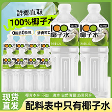 【买一送一】100%椰子水1.25L*2大瓶装椰汁清凉果汁饮品整箱装水