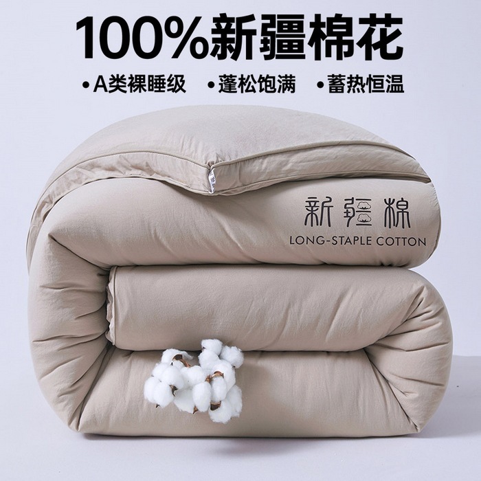 a类100%新疆棉花被加厚保暖冬被春秋被纯棉被芯家用学生四季被褥|undefined