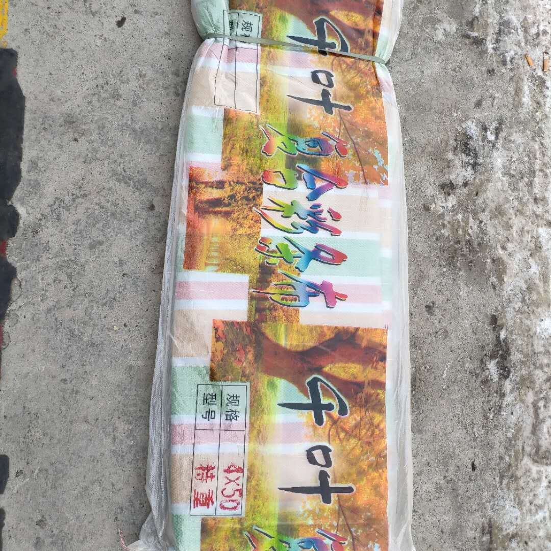 加厚防雨布彩条布南韩布水晶绿抗晒抗老化金包银直销防晒抗老化