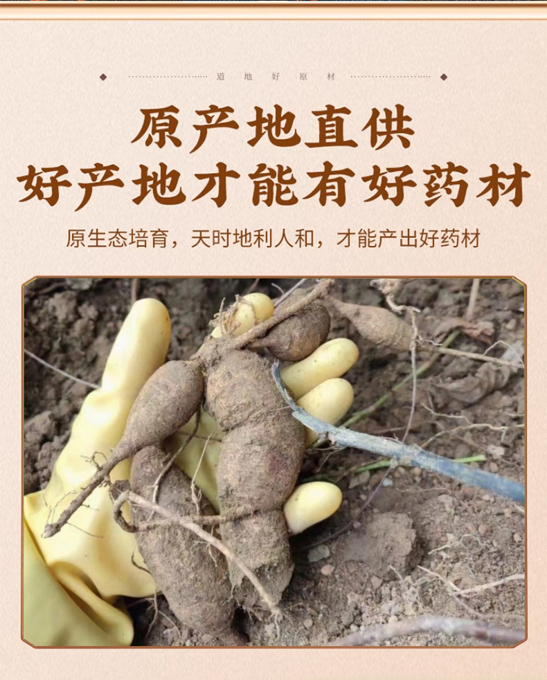 Millettia Root Slices Niu Da Li 500g Dried Guangxi Herbal Soup Ingredient with Ba Ji Tian and Du Zhong key features