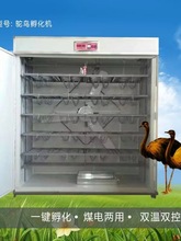 �����Cȫ�Ԅ��r�B����������������������r�B�����O�������