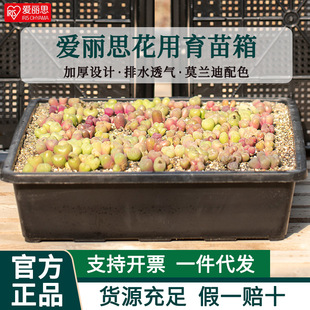 ����˼����P����Nֲ�д�̖����Ӻ��֬�M������z������������