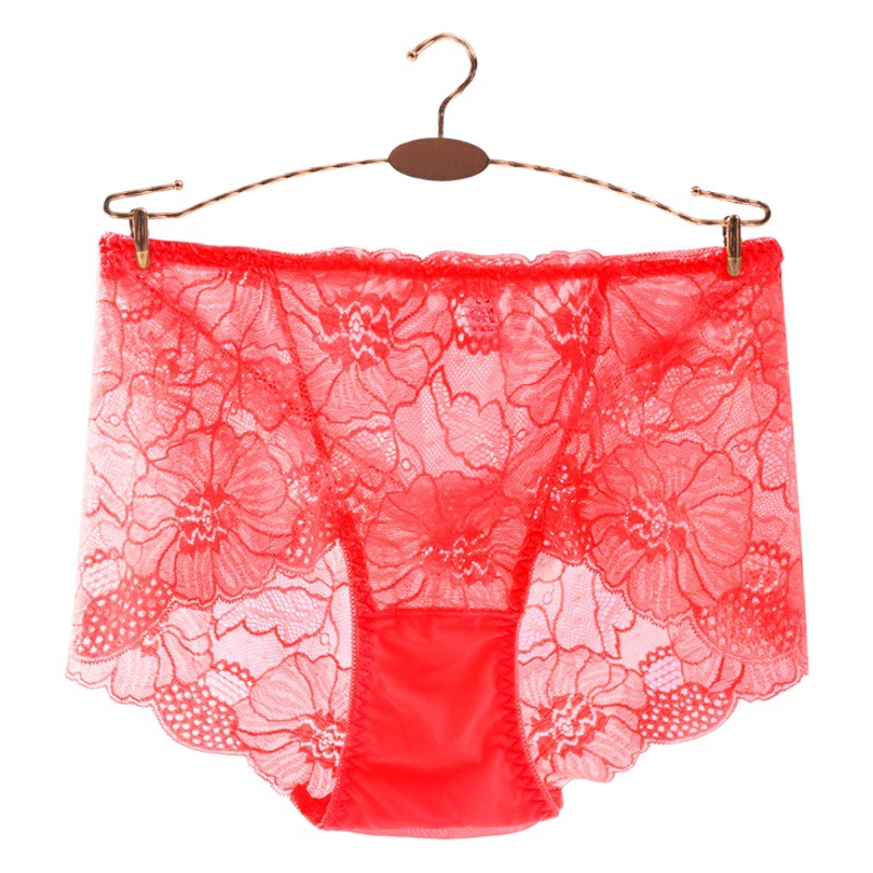El Comercio exterior europeo y americano encaje hueco-hacia fuera calzoncillos de cintura media de las mujeres sexy malla delgada ropa interior de algodón transpirable para las mujeres image 1