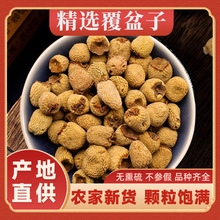 ��ș��������؛�����Ӹɹ������Ӹ��ݲ�ĥ�۴���������޽��ɐ��