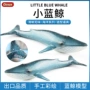 仿真儿童实心认知动物