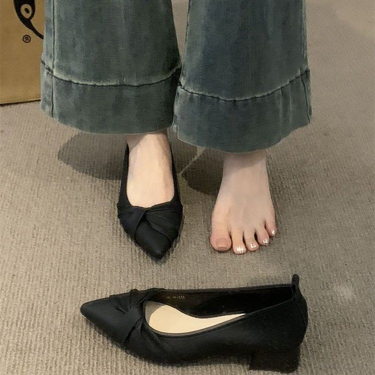 Zapatos de mujer de estilo francés de ventano de noche con tacones gruesos poco profundos, primavera y otoño de 2026 nuevos zapatos de cama con falda temperamento