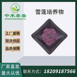 雪莲培养物 雪莲提取物 雪莲培养物粉 欢迎咨询订购 源头厂家现货