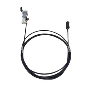 �m��춄e�˄PԽ�����w�������������T�i�N�_�P�]�����w�_������