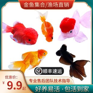 ���~���w�^�p�~��ˮ�~��ˮ�~���B�ͻ��С���~�t���~���m���J���~