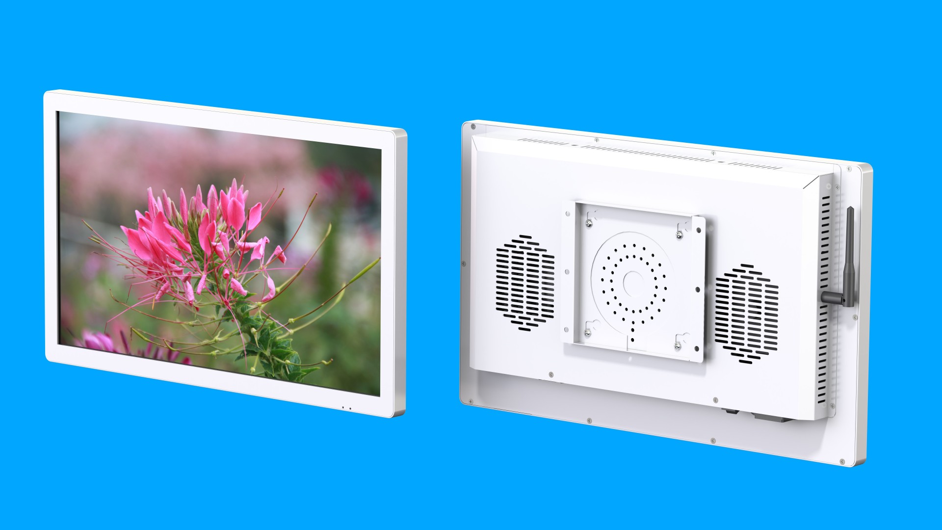 18.5寸19B款壁掛純平白色效果圖