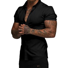 V 35211 Summer Short Sleeve Print Shirt ӡ��������� ��
