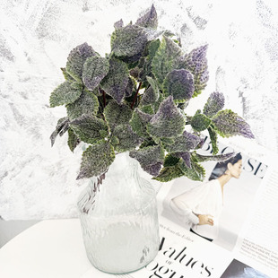 �羳���N ����������K�~ֲ�q�Gֲֲ�� �҃����쾰���Աڙ��b�