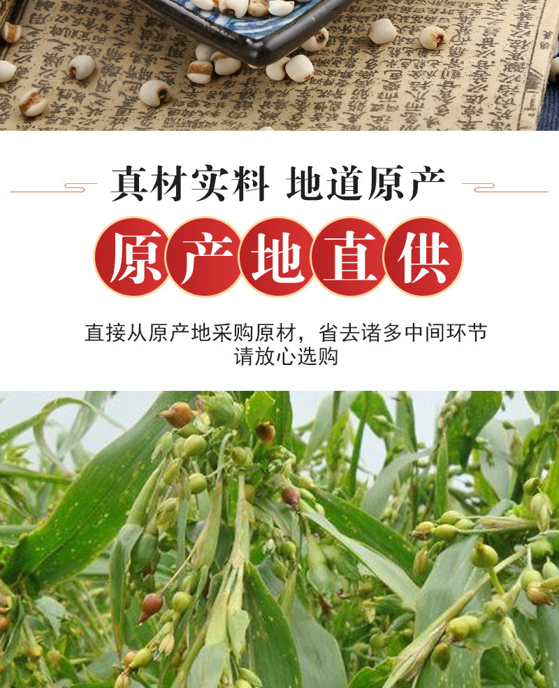 Coix Seed (Coix lacryma-jobi) — Roasted Puffed Yi Mi Ren, 500g Loose Food Herb quality and texture