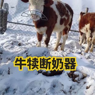 ����������Сţ���Ӡ�ţ���̺���һ�w�A�μ����¿�ţ����ţ���¿�