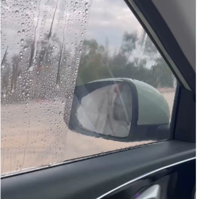 Geely Xingyue car window glass: Rearview mirror rainproof sticker