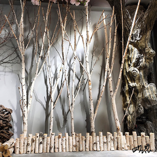 �ט����b�ľ�������b��֦�[���������U��٘�֦��֦��辸���