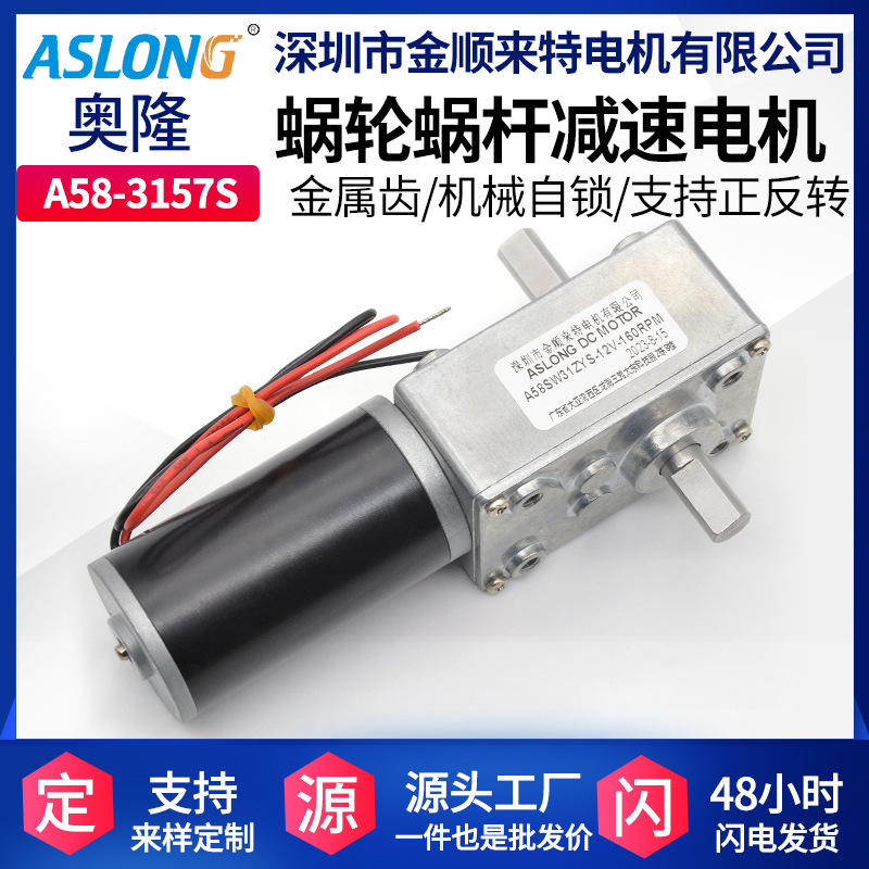 ASLONGA58SW31ZYS涡轮蜗杆直流减速电机双出轴钢管马达高效节能
