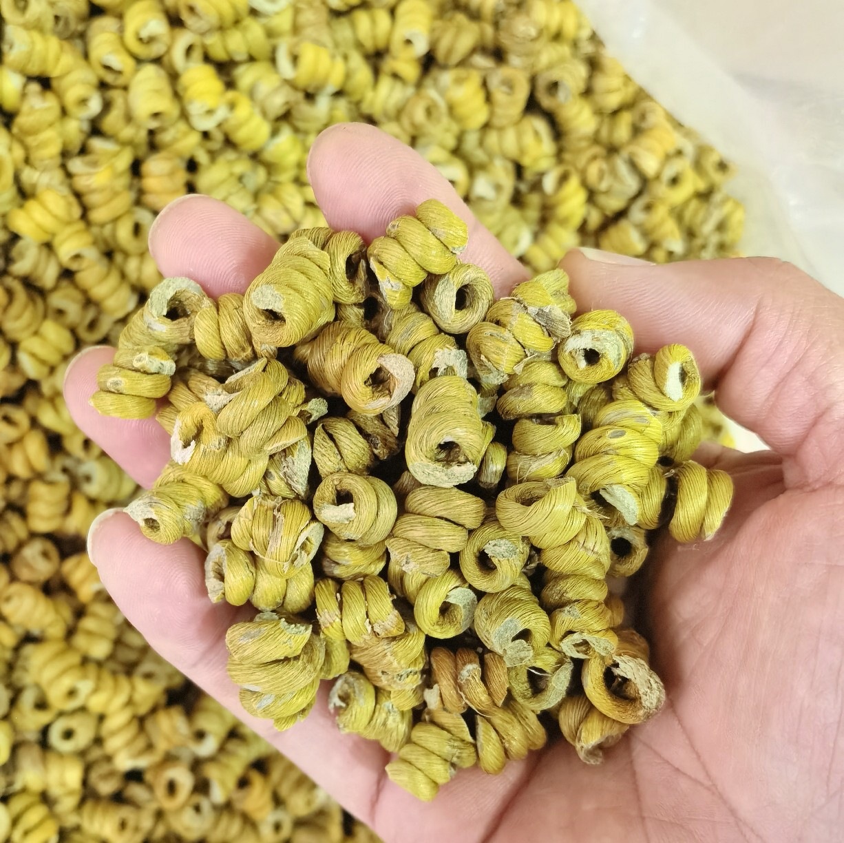 Huoshan Dendrobium Fengdou Granules Mi Hu Tie Pi Shi Hu Bulk 1kg Wholesale key features