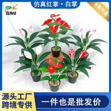 3D�߷���Gֲ�t�����Լٻ�ֲ�� �Ҿӈ@ˇ�����b��辰 ���滨����