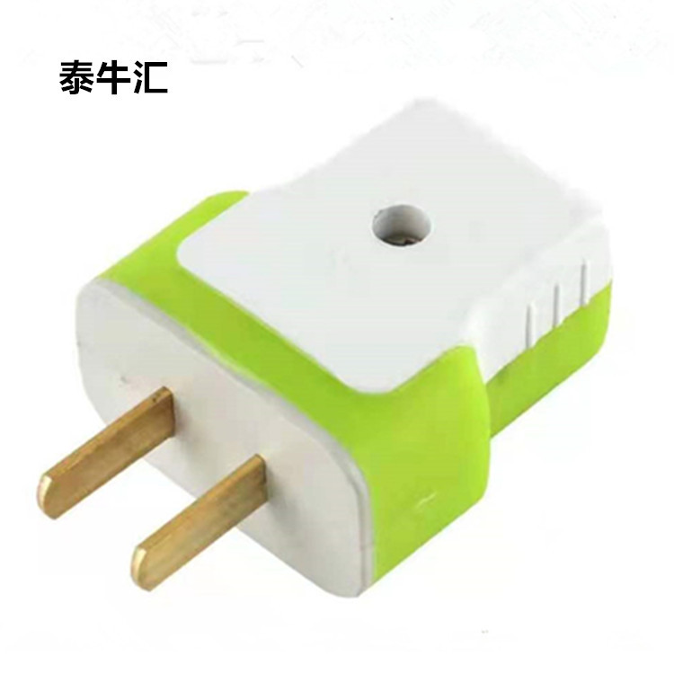 泰牛汇 固定二脚插头新款二插头电源接线扁插绿色T型16A包胶抗摔