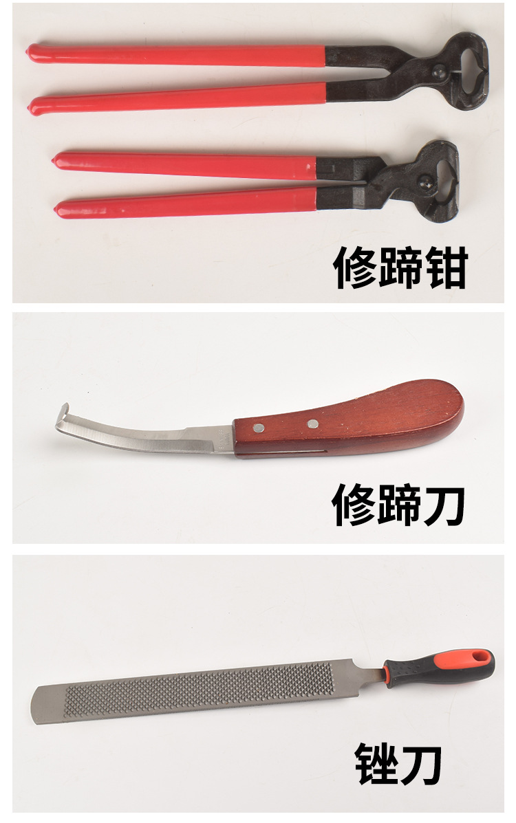 详情_10.jpg