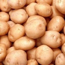 ������������ ��؛�����������У��gӭǰ����ԃ����������