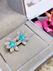 宝石手饰;宝石项饰;宝石耳饰