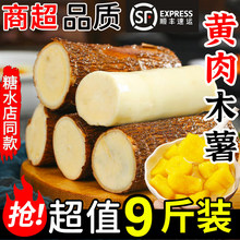 广西黄心木薯新鲜9斤黄肉蛋黄木薯羹现挖面包板栗木薯软糯糖水店