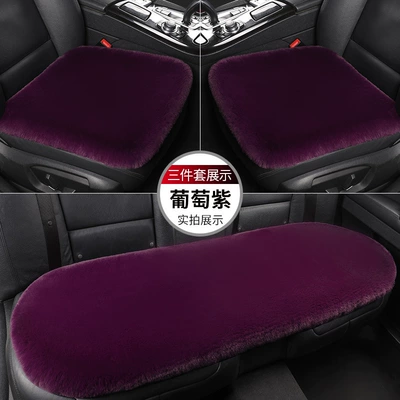 Universal seat cover — Wholesale Cross-Border Car Seat Cushions - grape-purple-thick-plush-1-single-seat-in-the-front-row
