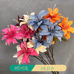 3�^�����ٺϻ�Y�����쾰�ٻ��廨�b��Ƶ�͏d�ҾӔ[�����滨