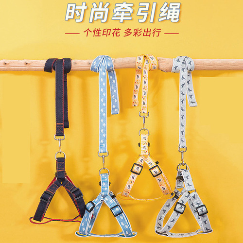 Factory direct sales dog leash cartoon vest harness pet leash small dog puppy dog ​​walking rope set