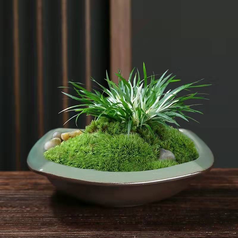 Ceramic Potted Utensils Non-porous Hydroponic Container Desktop Bowl Lotus One-leaf Lotus Moss Ball Flower Pot Creative Brazilian Wooden Pot