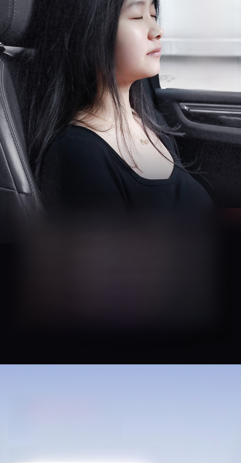 Car Sunshade 14