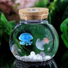 儿童养的小动物包活水母活物发光瓶赤月倒立海月水母活体适合宠物
