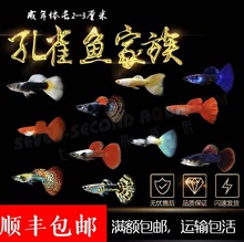 �N��ȸ�~С���^�p�~��ˮ�~���B�ͻ�Ꭷ�~��ʹ�~���R�~С�~�~��