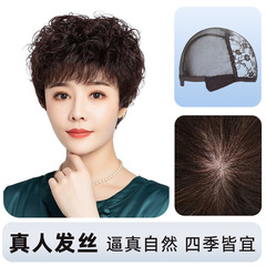 かつらの女性のショートヘアの全頭カバー