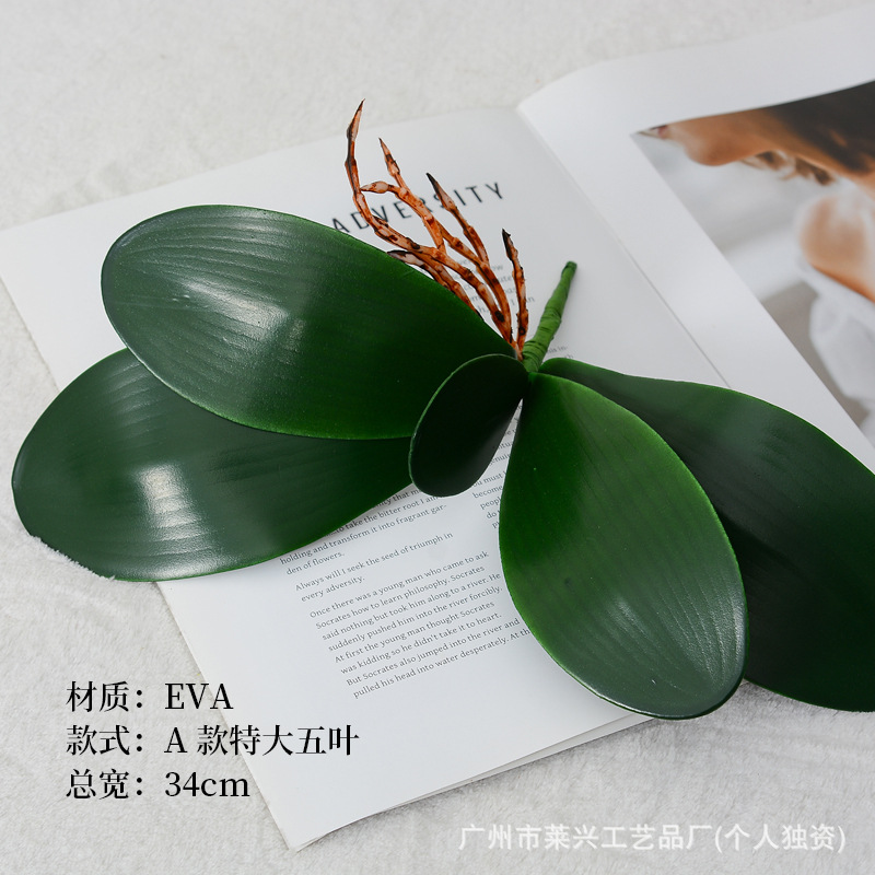 EVA-A 초대형 5 잎