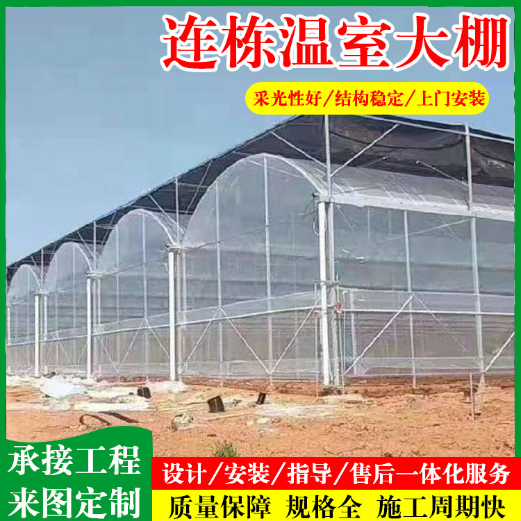 Multi-span Greenhouse Vegetable Greenhouse Skeleton Siamese Greenhouse Flower Melon and Fruit Simple Multi-span Greenhouse Construction