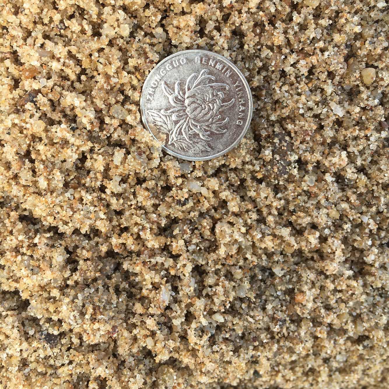 天然河沙细黄沙子多肉配图沙土鱼缸底沙子乌龟冬眠黄沙土水族造景