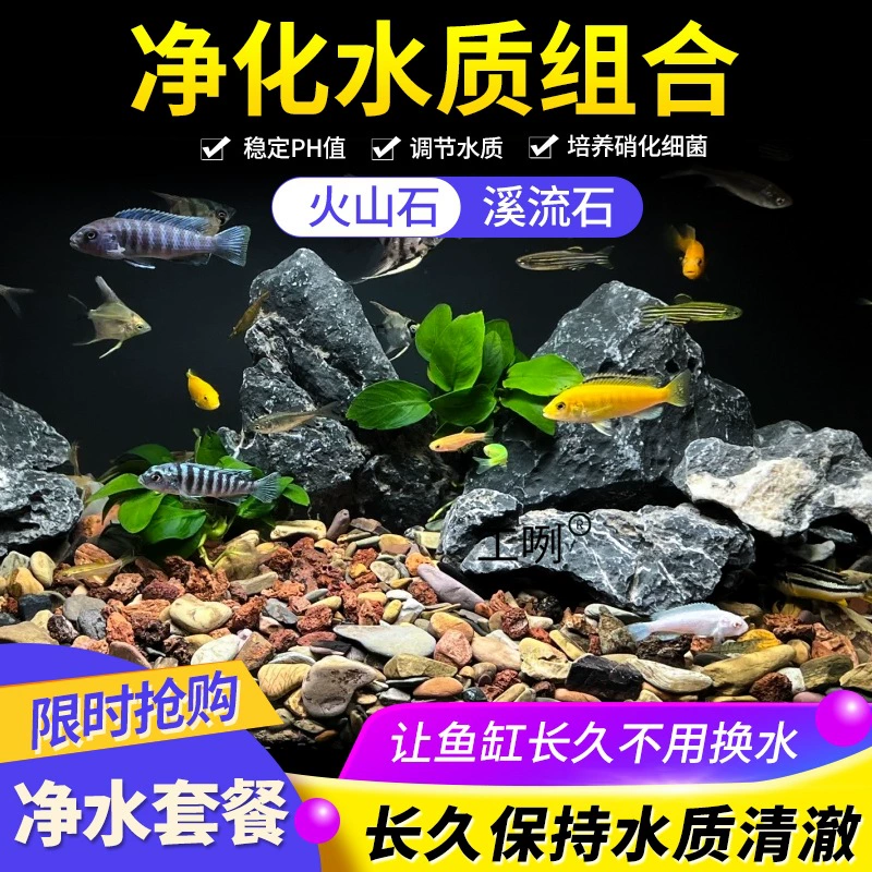 Натуральный вулканический камень, аквариум, специальный дно, песок, экологический ландшафтный дизайн, дно, песок и гравийные частицы, древняя рыбоводческая фильтрующая материалы, брусчатка