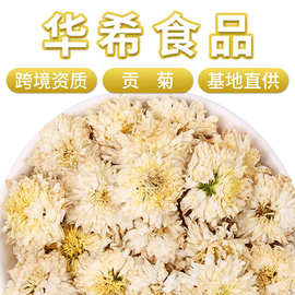 厂家批发安徽黄山贡菊基地直供白菊花新货七月菊散装菊花茶贡菊