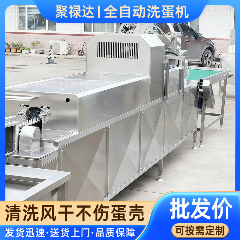 Fully Automatic Egg Cleaning and Egg Washing Line, Preserved Egg Mud Removal and Egg Washing Machine, Egg Product Cleaning Equipment