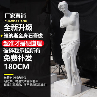 1.8m Venus Full Body Plaster Statue Figure Decorative Sculpture European-Style Ornament Large Statue Art Teaching Aid