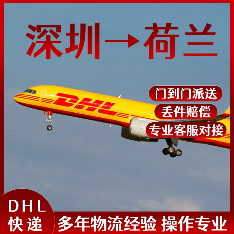 9 класс опасных грузов литиевые батареи Шэньчжэнь DHL Экспресс по почте в Нидерланды Двойная очистка Дверь DDU Европа Специальная линия логистики