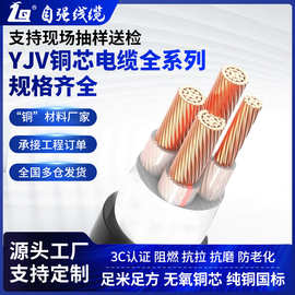 ZC-YJV新能源电动车延长线纯铜芯充电桩专用阻燃电线6/10平方电缆