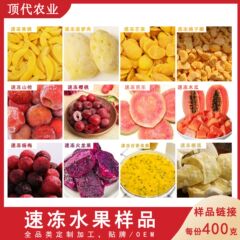 急凍果物源工場輸出多規格冷凍マンゴー冷凍果物ブルーベリーいちごパイナップル蜜バナナ
