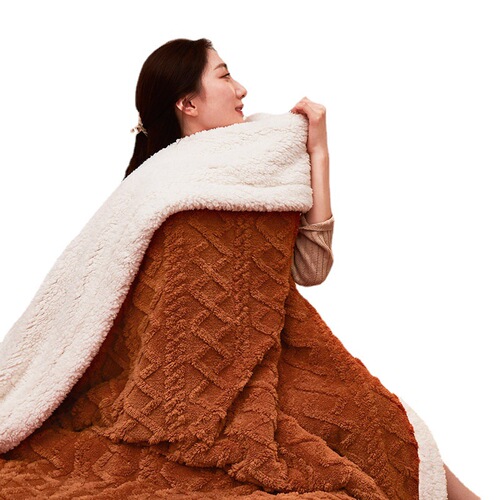 2024 double-layer thickened lamb velvet blanket, taffeta blanket, plain solid color, printed small fur blanket, nap blanket