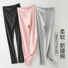 女秋裤薄款纯棉衬裤冬季紧身内穿大码春秋保暖2025新款抗菌打底裤
