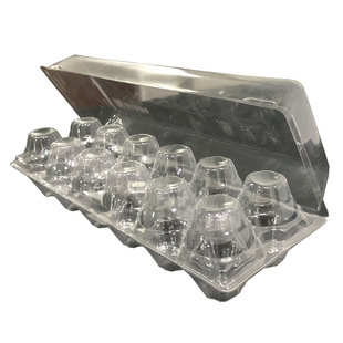 Egg packaging box disposable thickened anti-collision bi-fold plastic egg packaging box transparent bi-fold egg holder